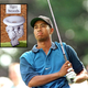 Tiger Woods, 1997 Masters champion, was honored by Augusta National officials with his own separate, clearly labeled fountain.